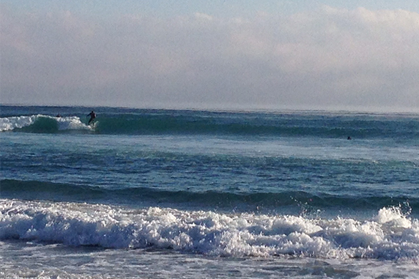 Hammock Dunes Surfing in Backyard 
